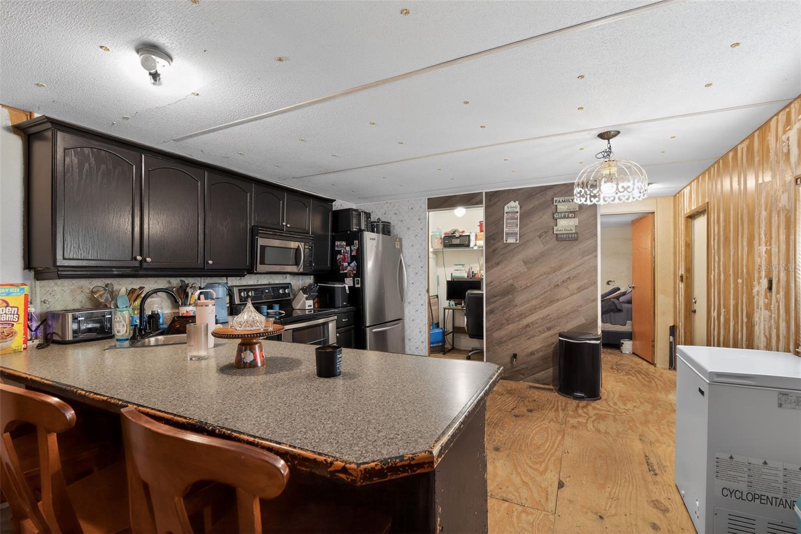 16940 SE 115TH AVE, WEIRSDALE, FL, 32195