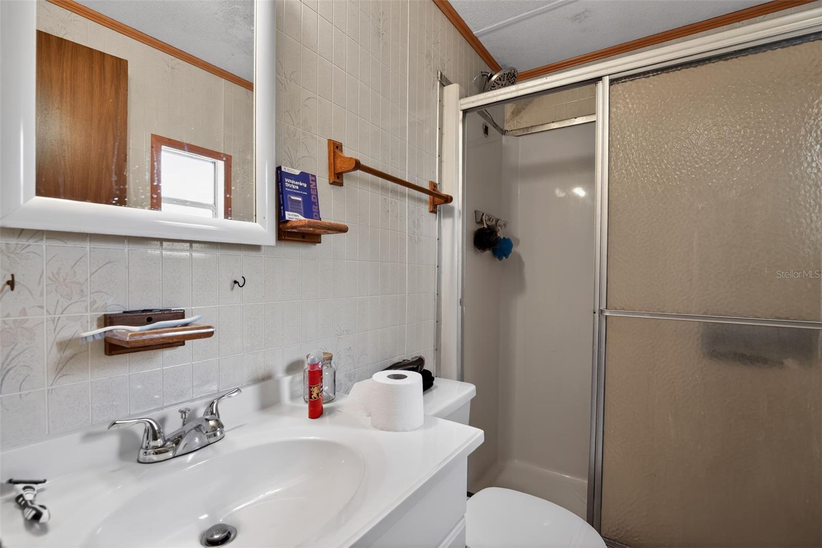 16940 SE 115TH AVE, WEIRSDALE, FL, 32195