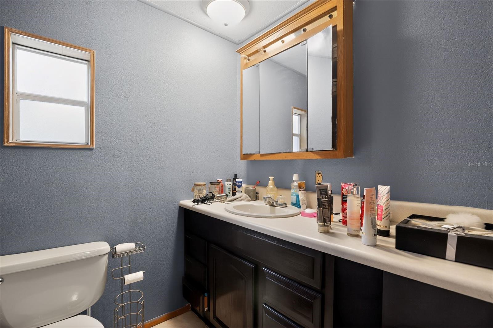 16940 SE 115TH AVE, WEIRSDALE, FL, 32195