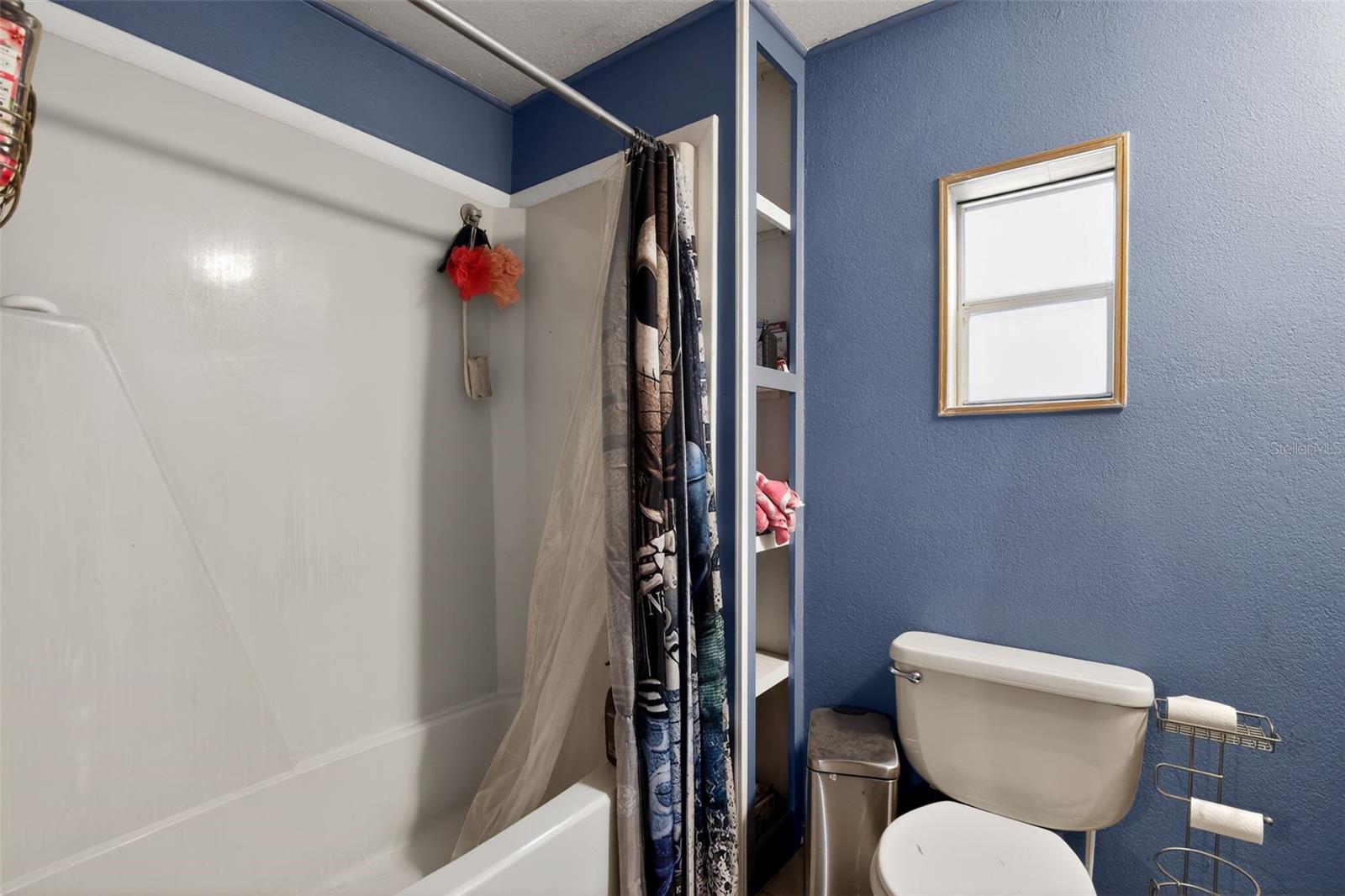 16940 SE 115TH AVE, WEIRSDALE, FL, 32195