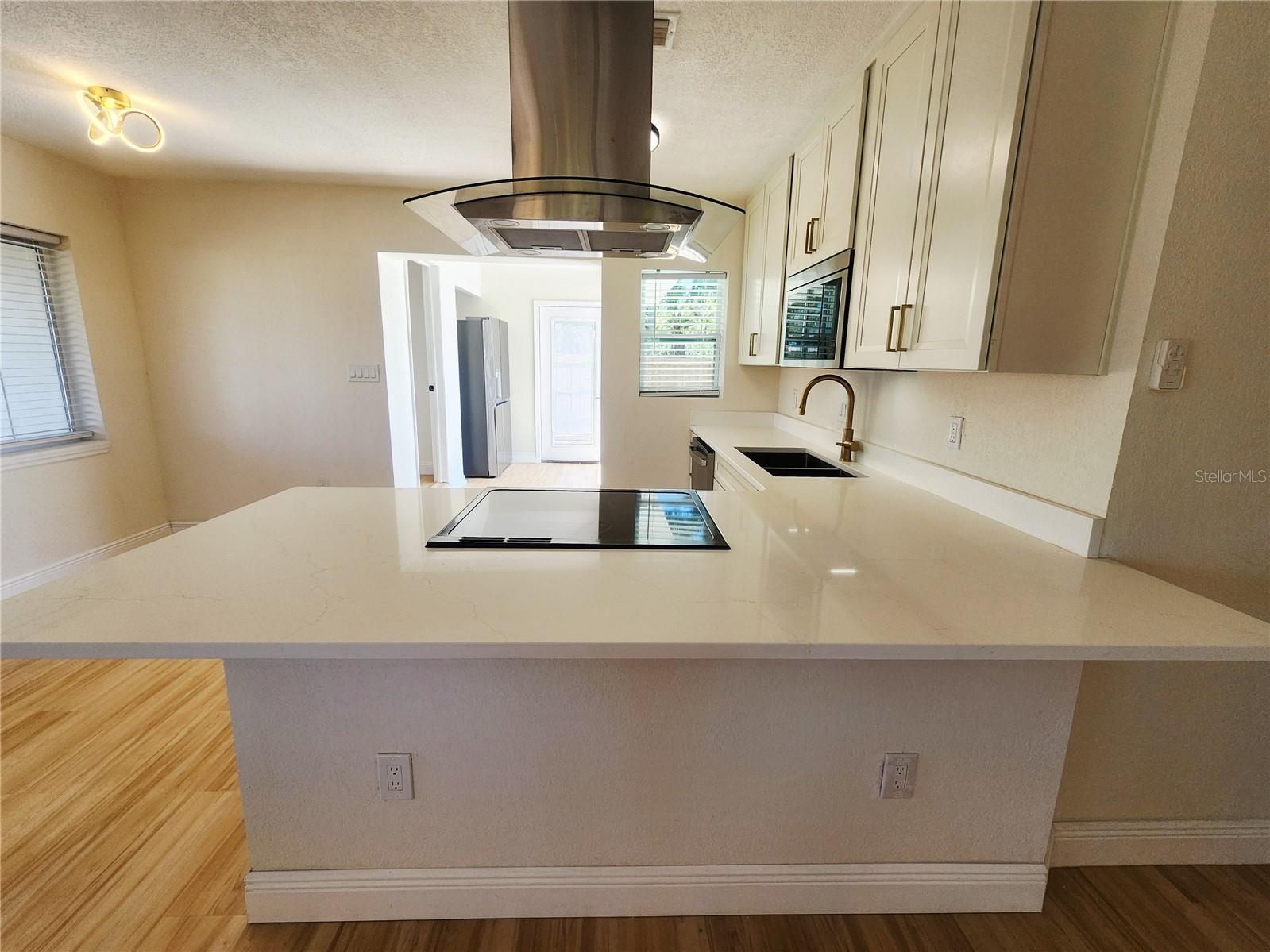 2494 DEL RIO WAY, DUNEDIN, FL, 34698