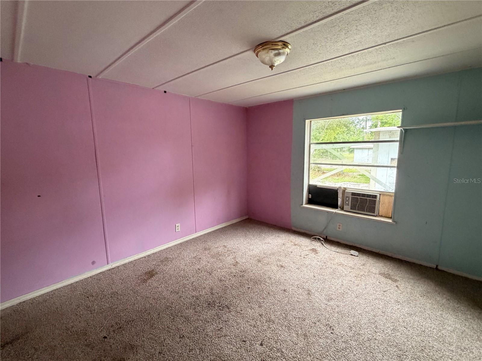 24021 ARMADILLO RD, ASTOR, FL, 32102
