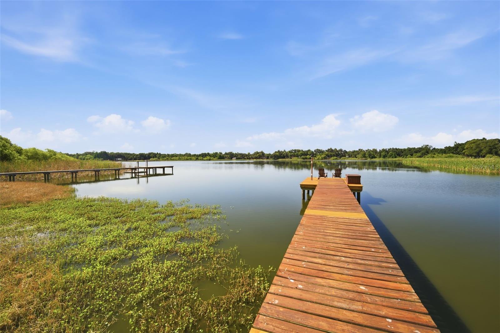 805 HICKORY FORK DR, SEFFNER, FL, 33584