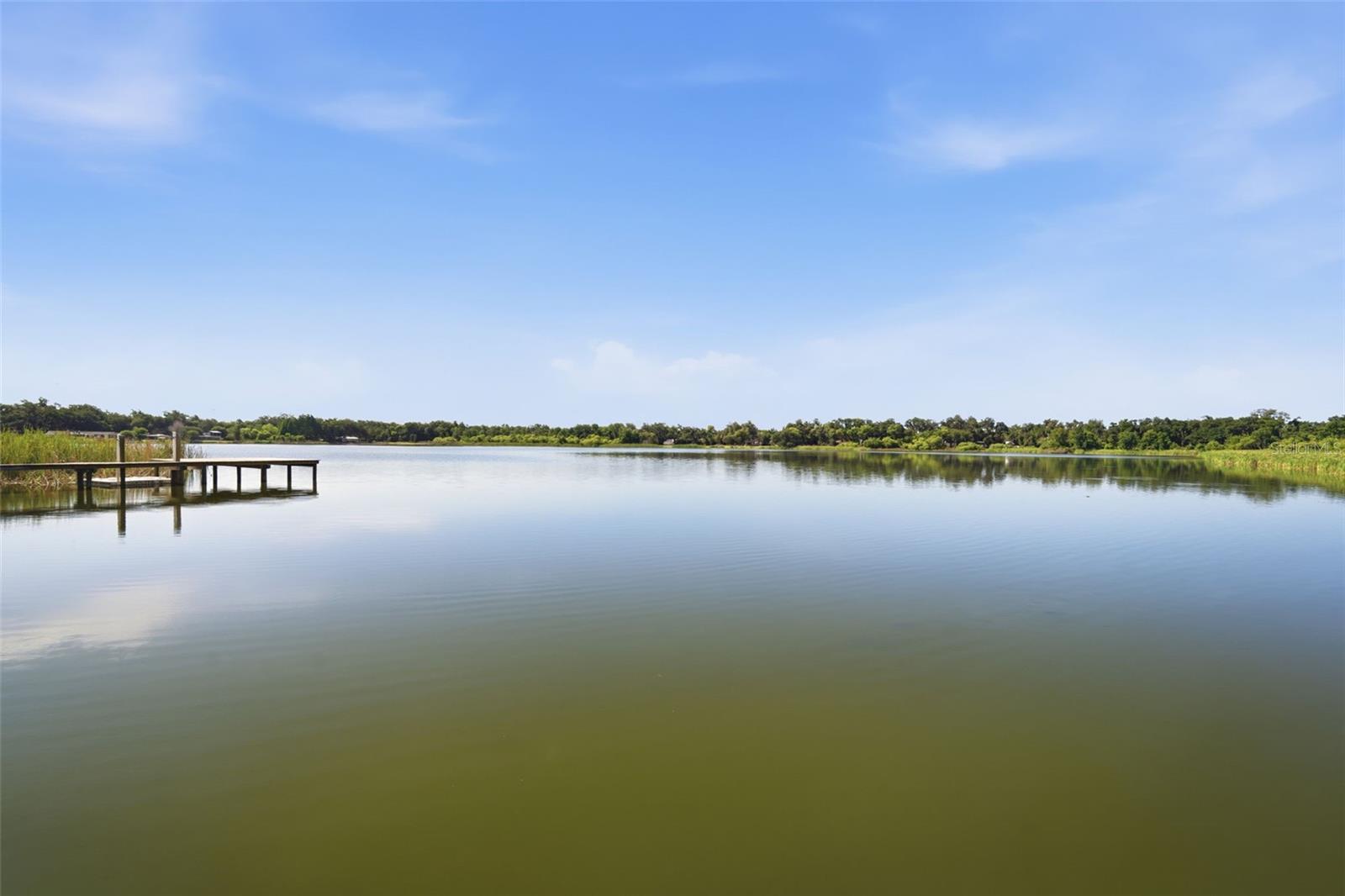 805 HICKORY FORK DR, SEFFNER, FL, 33584