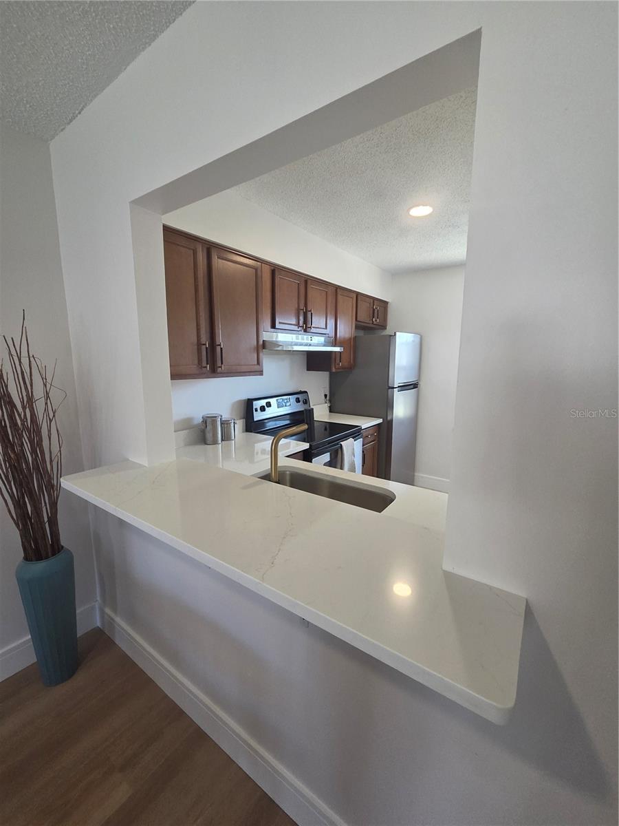 13719 MISSION OAKS BLVD, SEMINOLE, FL, 33776