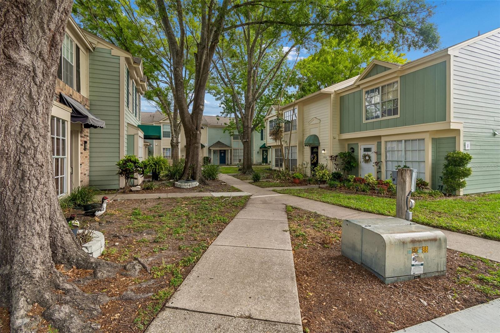 13813 FLETCHERS MILL DR, TAMPA, FL, 33613