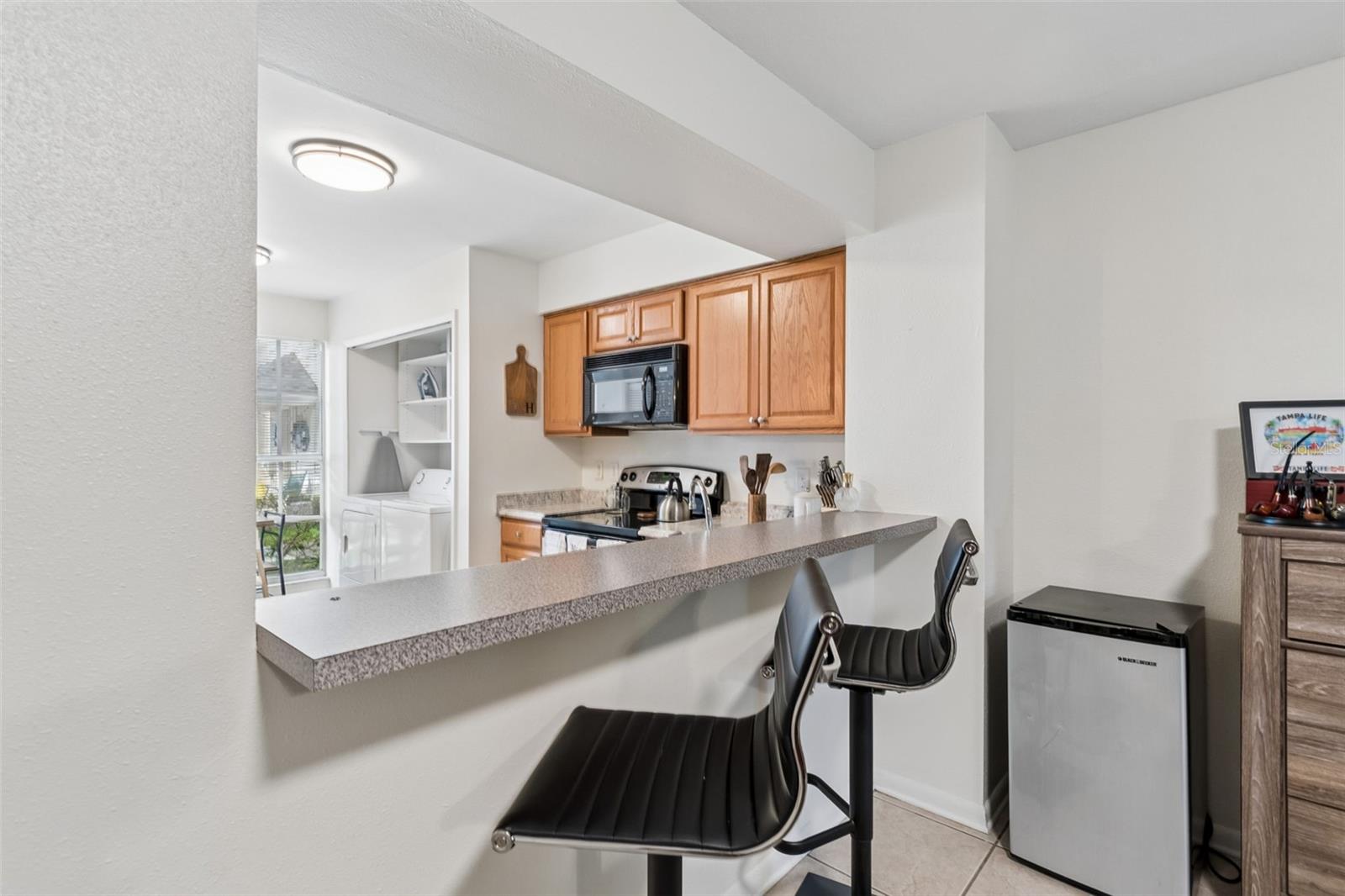 13813 FLETCHERS MILL DR, TAMPA, FL, 33613
