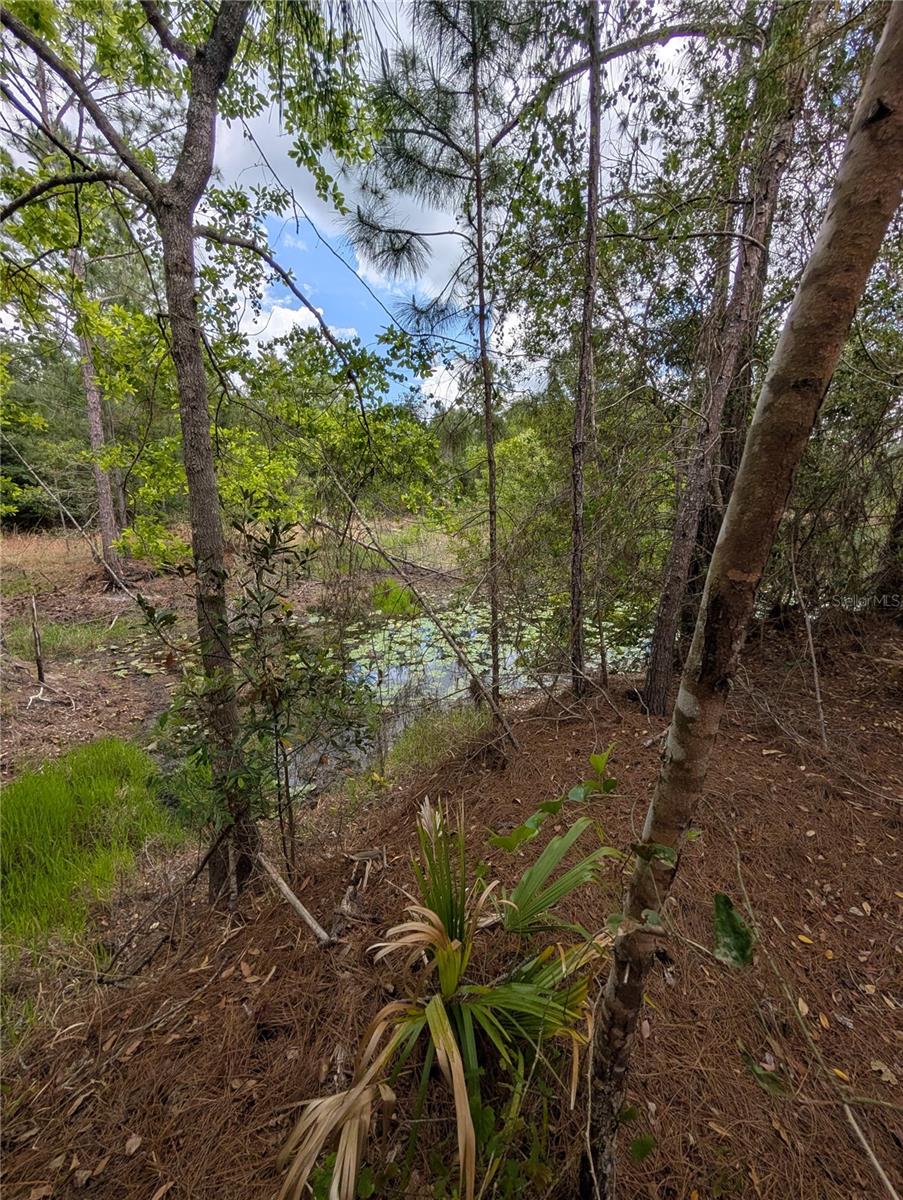 38521 ILEX TRL, EUSTIS, FL, 32736