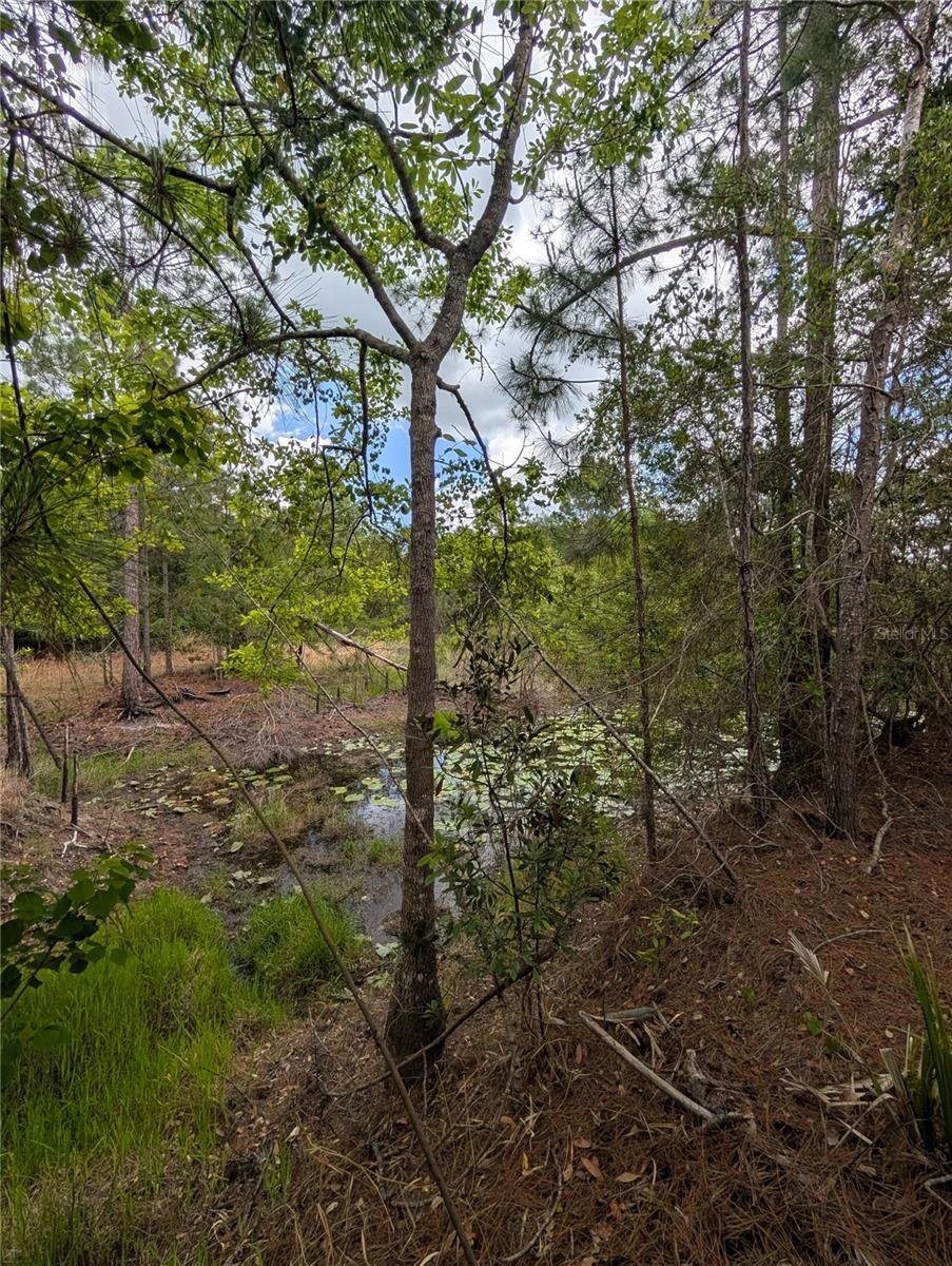 38521 ILEX TRL, EUSTIS, FL, 32736