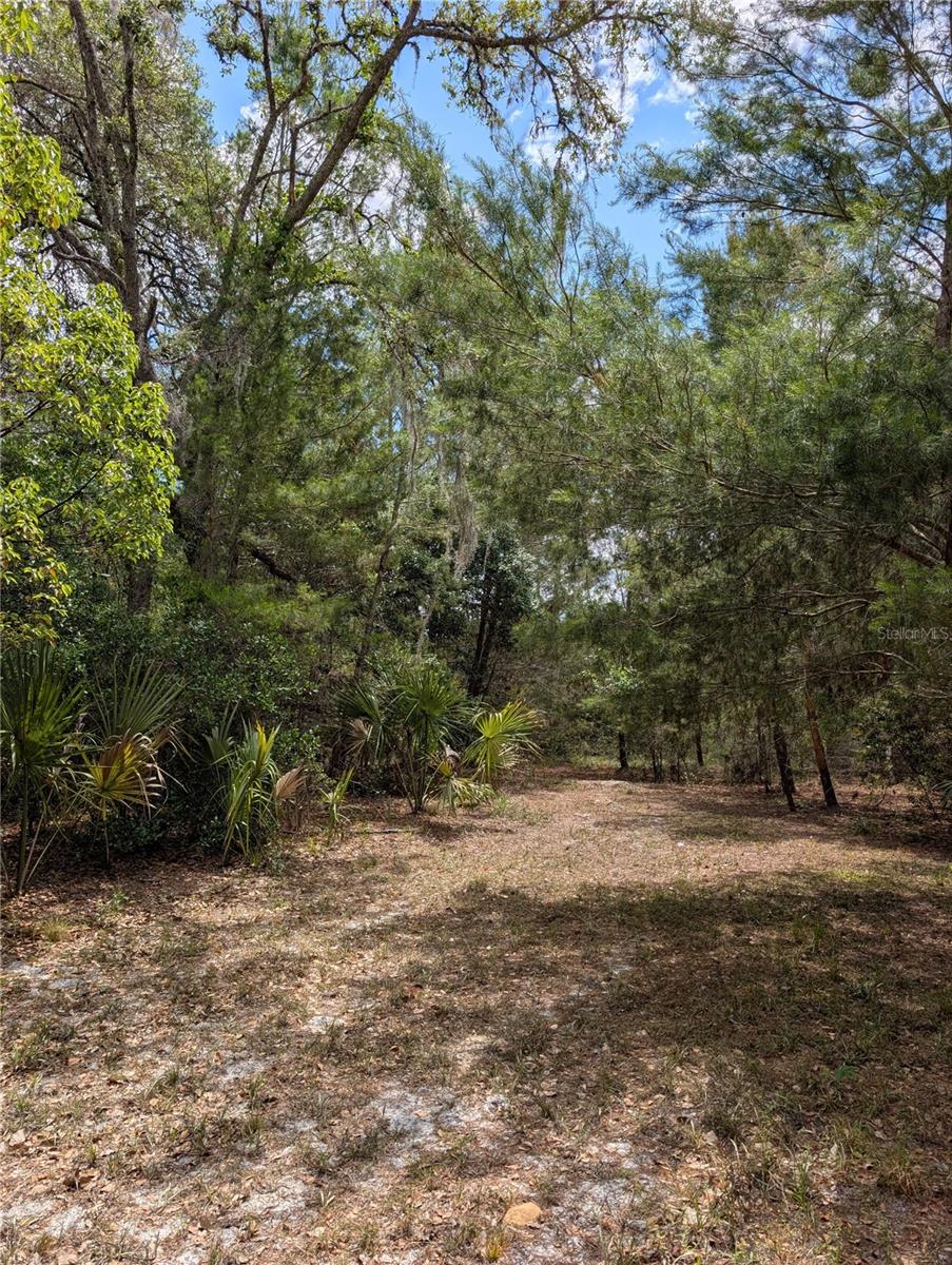 38521 ILEX TRL, EUSTIS, FL, 32736