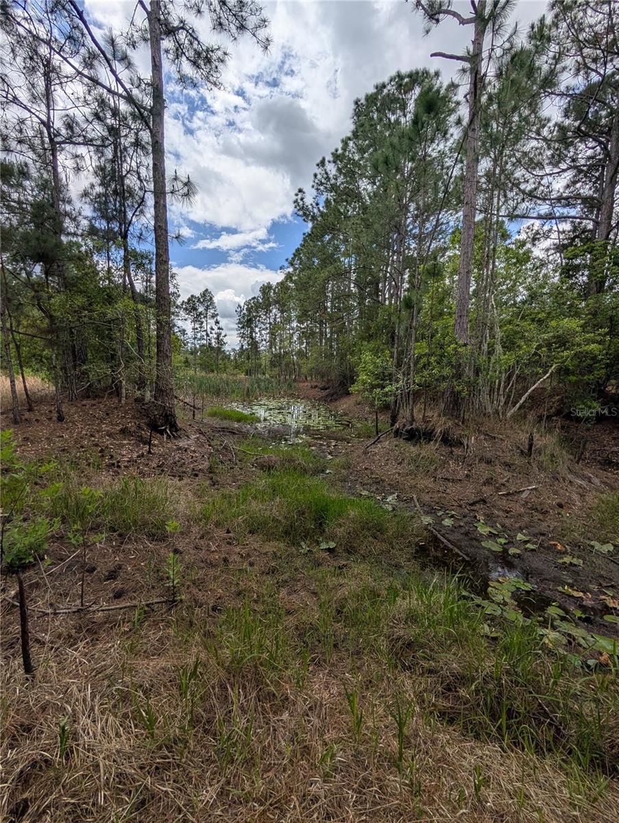 38521 ILEX TRL, EUSTIS, FL, 32736