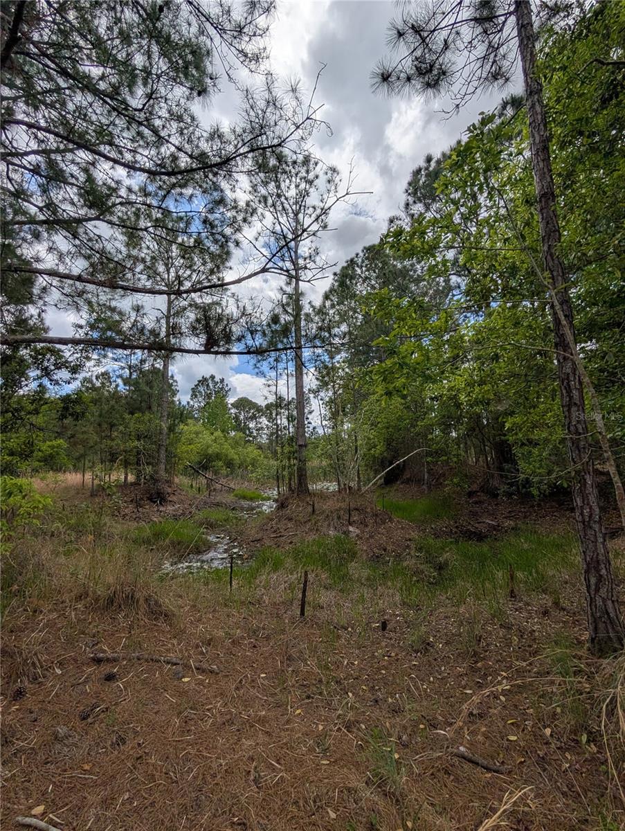 38521 ILEX TRL, EUSTIS, FL, 32736