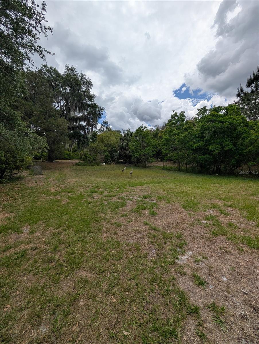 38521 ILEX TRL, EUSTIS, FL, 32736