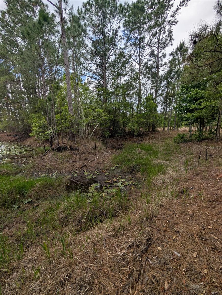 38521 ILEX TRL, EUSTIS, FL, 32736