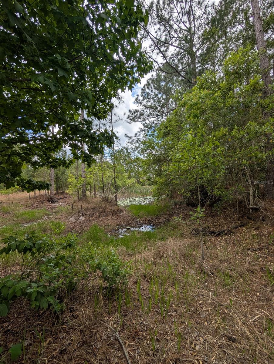 38521 ILEX TRL, EUSTIS, FL, 32736