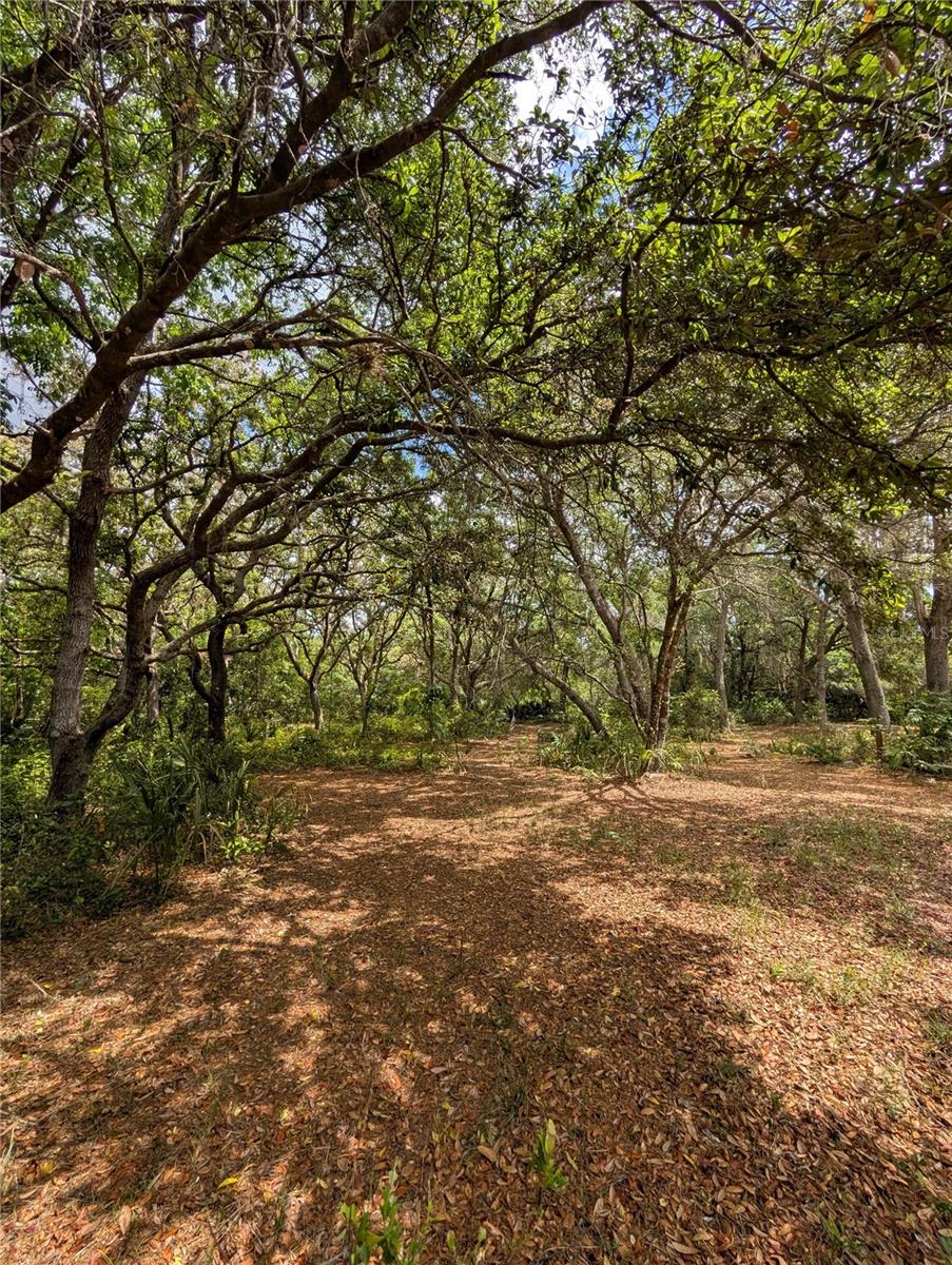 38521 ILEX TRL, EUSTIS, FL, 32736