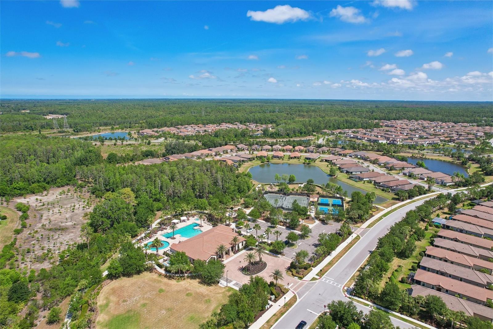 10834 CALLUNA DR, ODESSA, FL, 33556