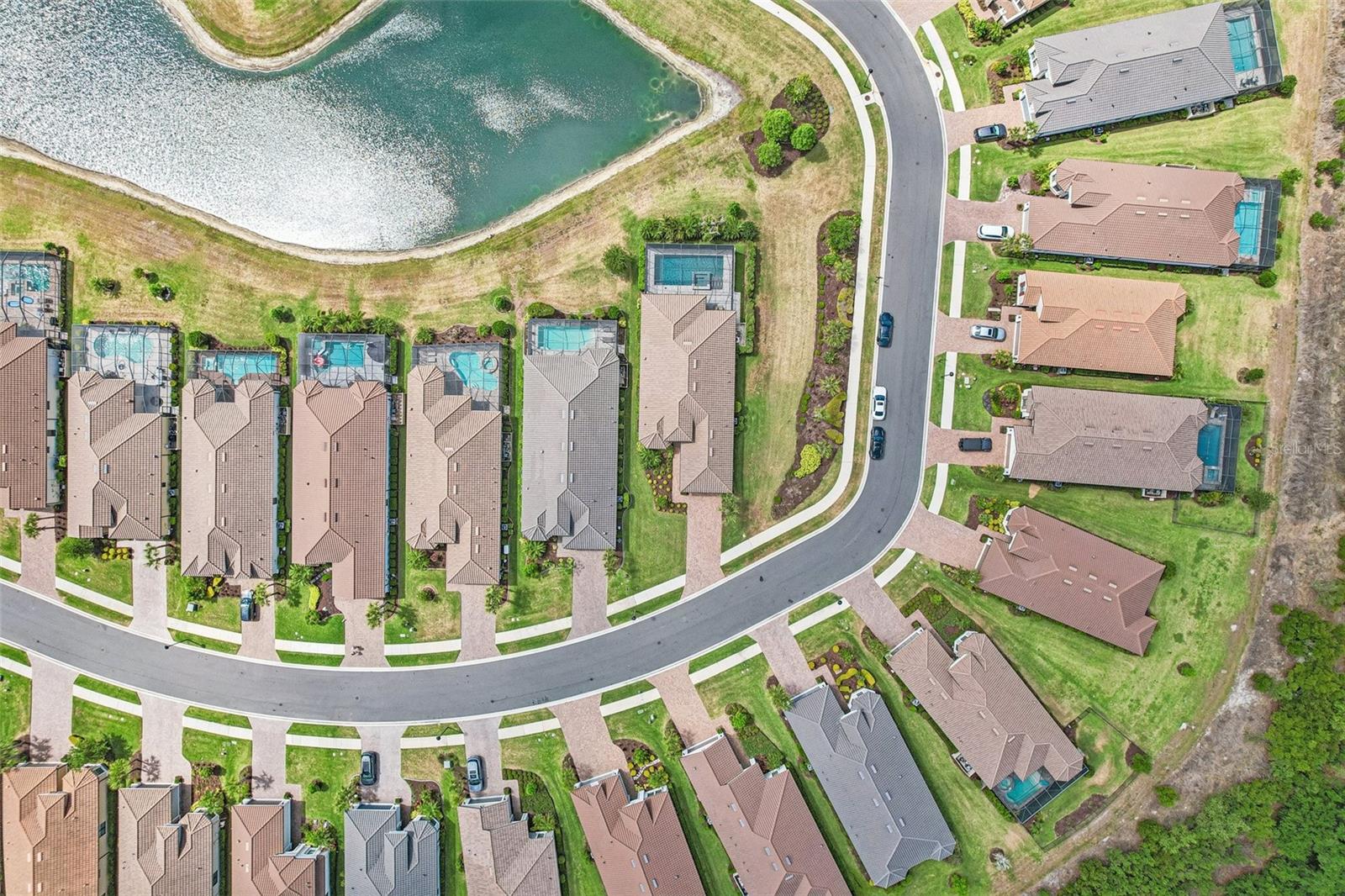 10834 CALLUNA DR, ODESSA, FL, 33556