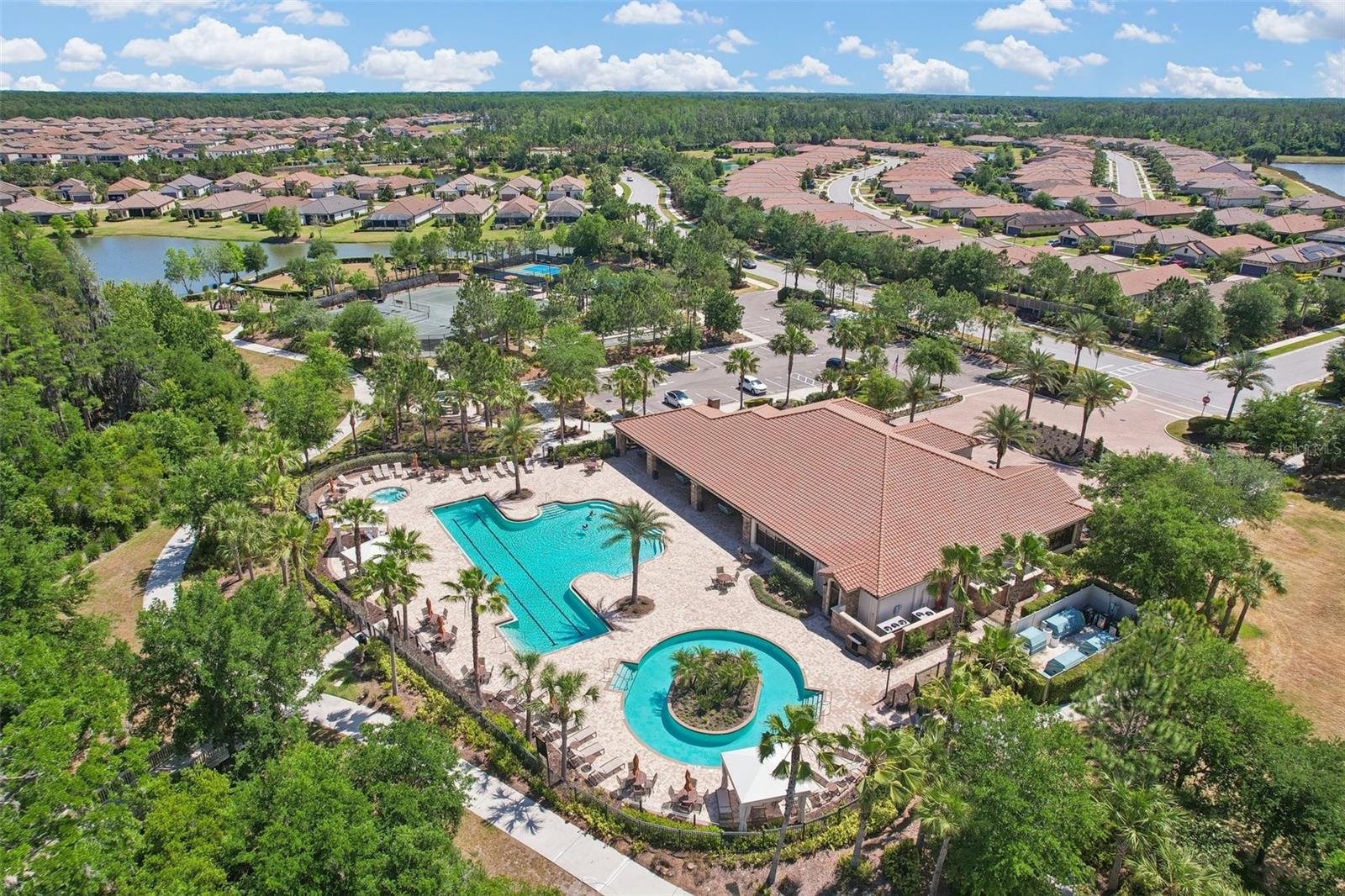 10834 CALLUNA DR, ODESSA, FL, 33556