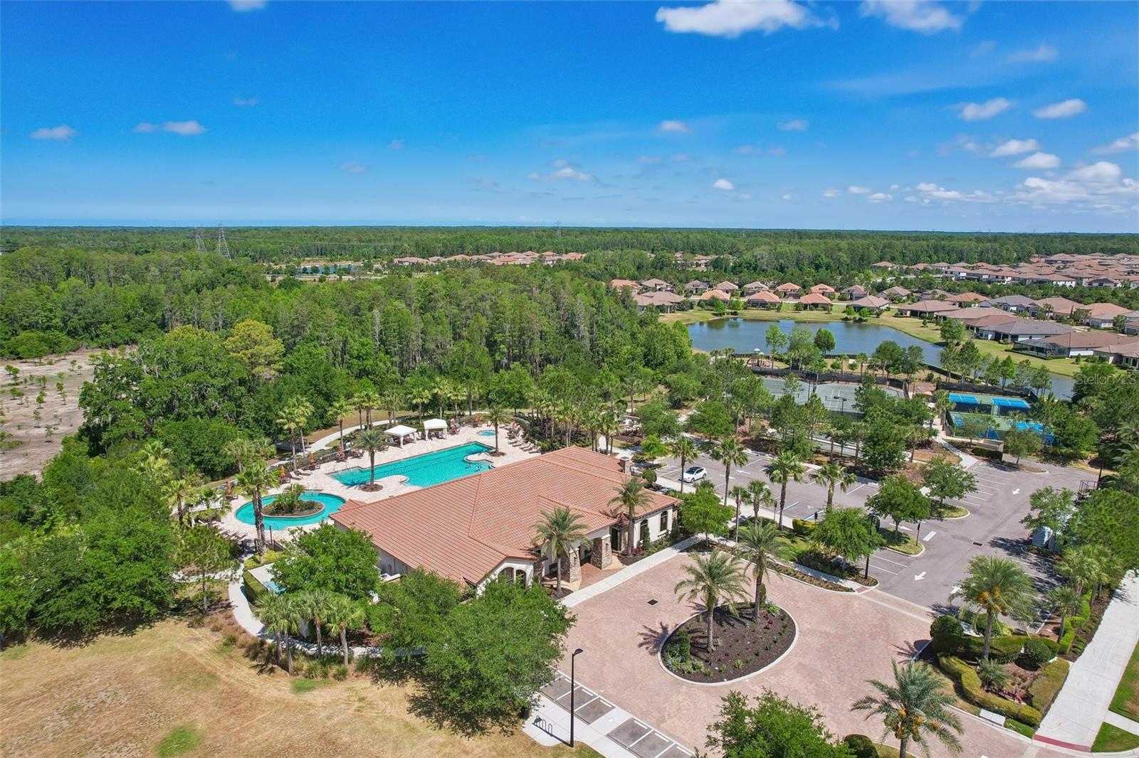 10834 CALLUNA DR, ODESSA, FL, 33556