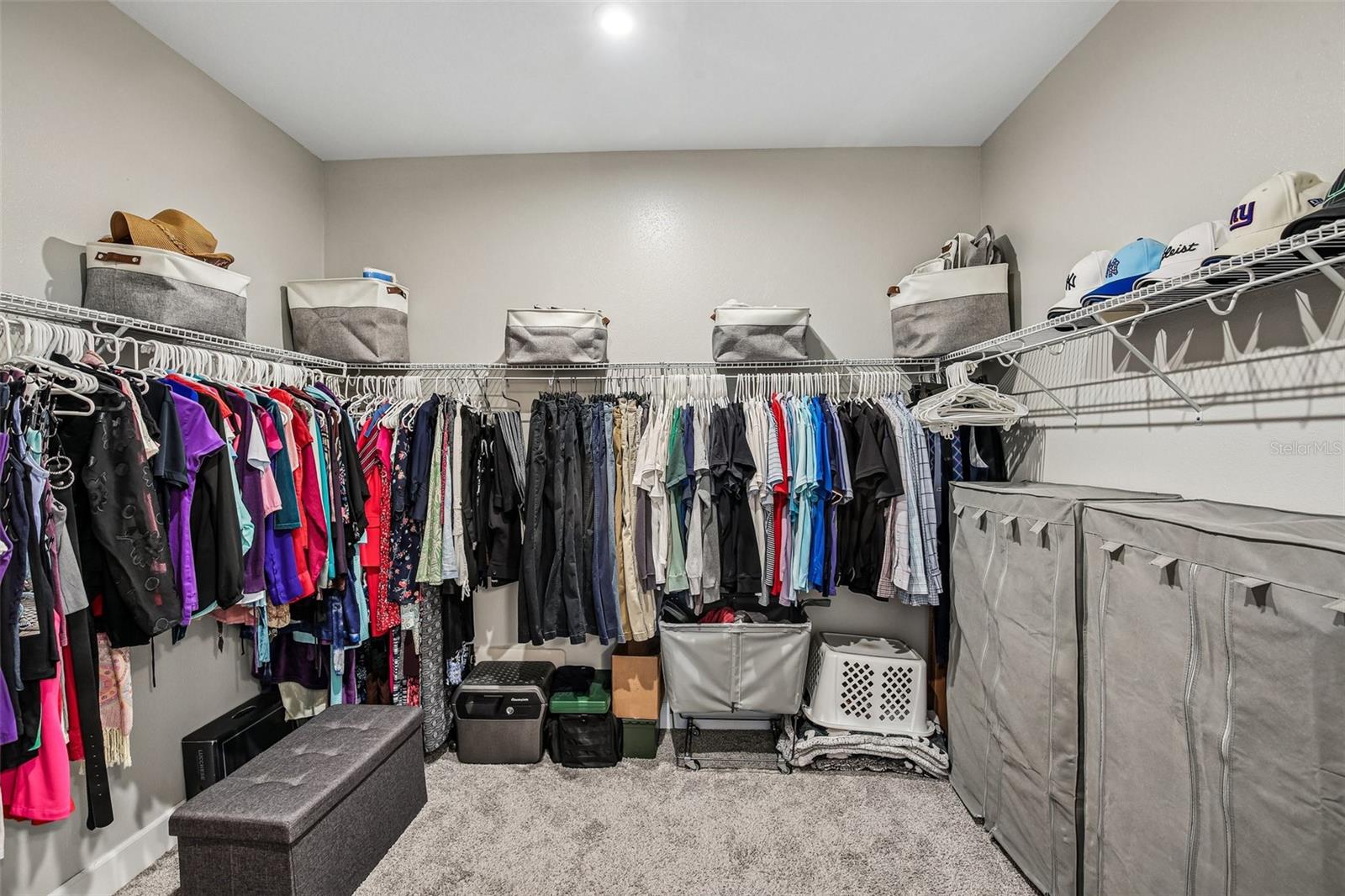 10834 CALLUNA DR, ODESSA, FL, 33556