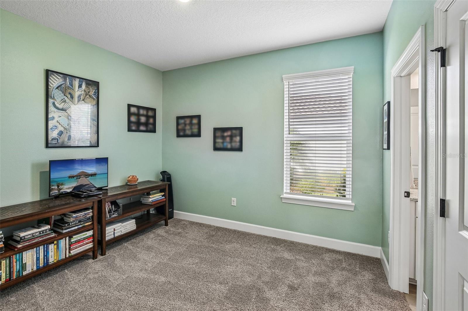 10834 CALLUNA DR, ODESSA, FL, 33556