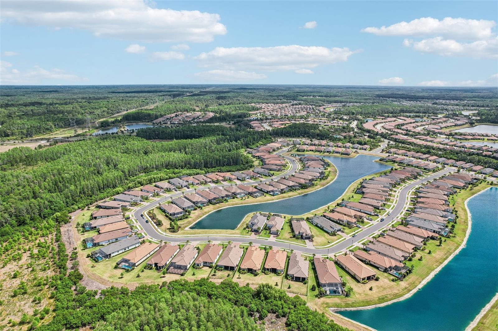 10834 CALLUNA DR, ODESSA, FL, 33556