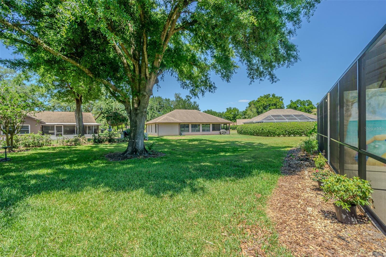 6431 LAURELWOOD DR, ZEPHYRHILLS, FL, 33542