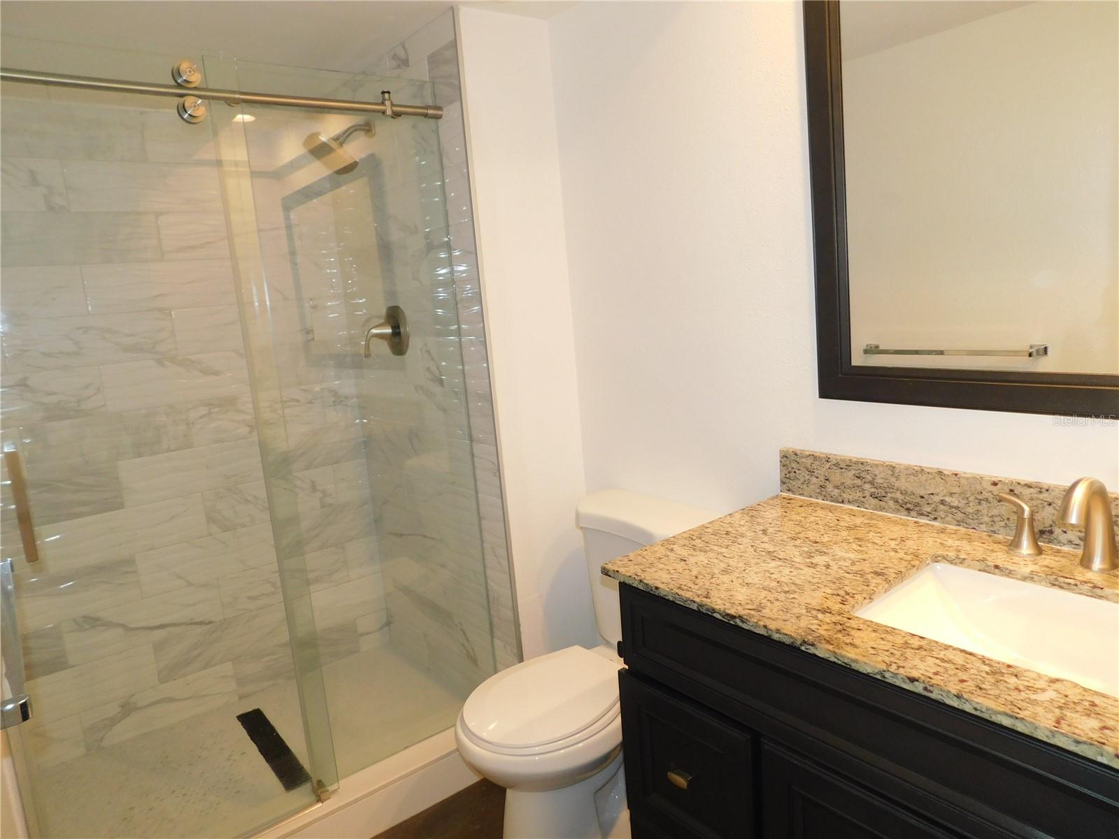 2561 FOREST RUN CT, CLEARWATER, FL, 33761