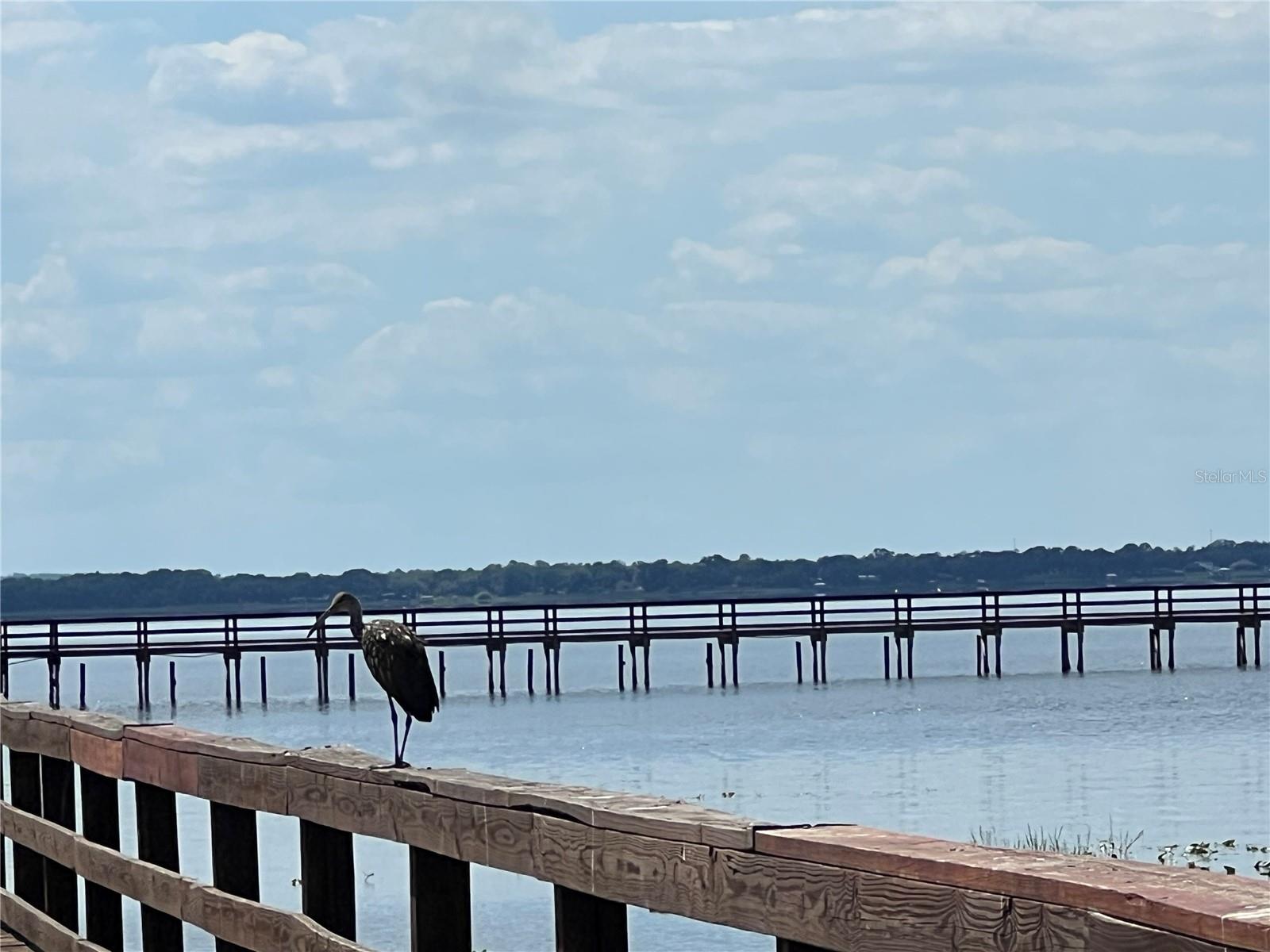 901 AZALEA DR, INDIAN LAKE ESTATES, FL, 33855