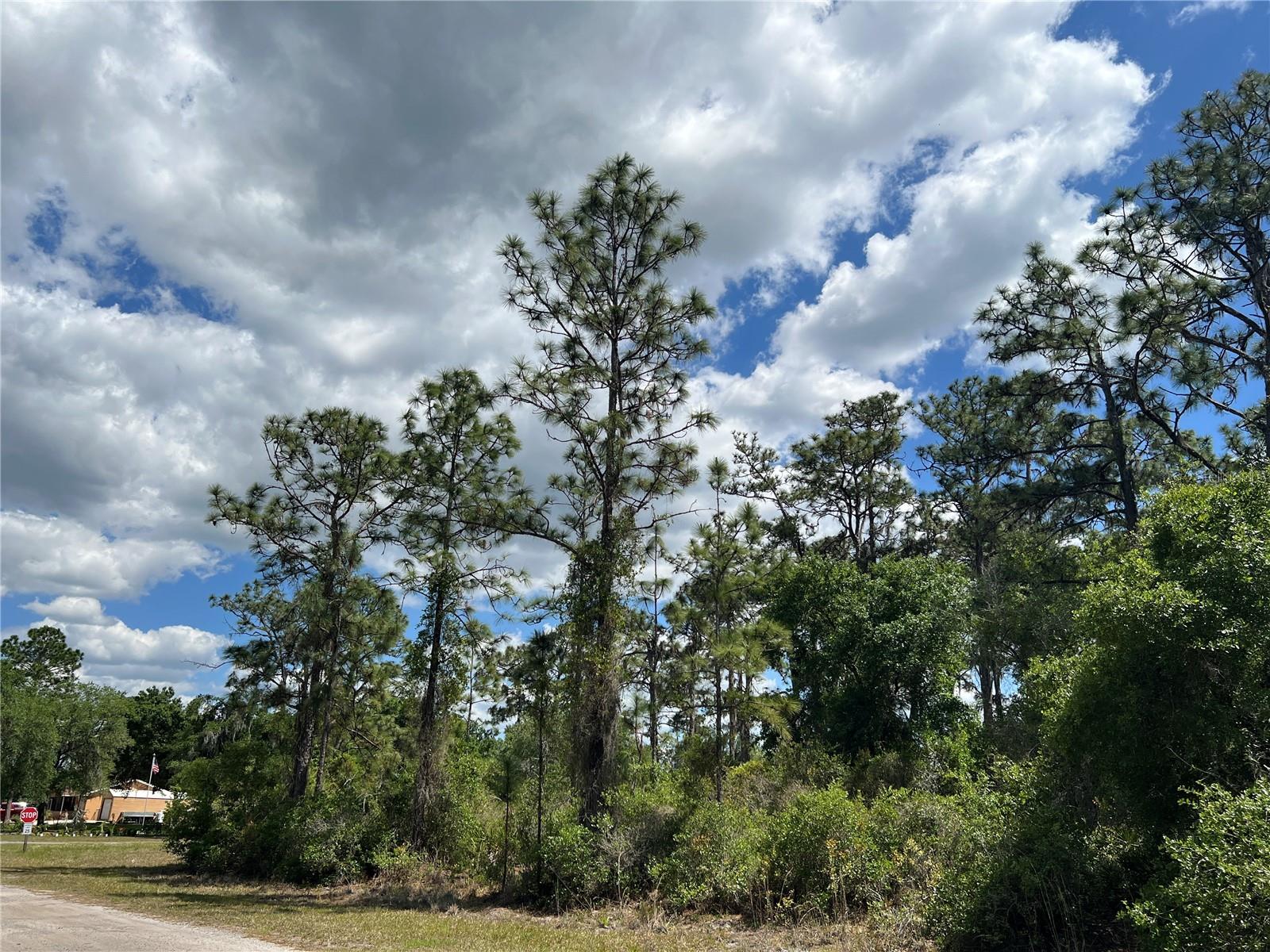 901 AZALEA DR, INDIAN LAKE ESTATES, FL, 33855