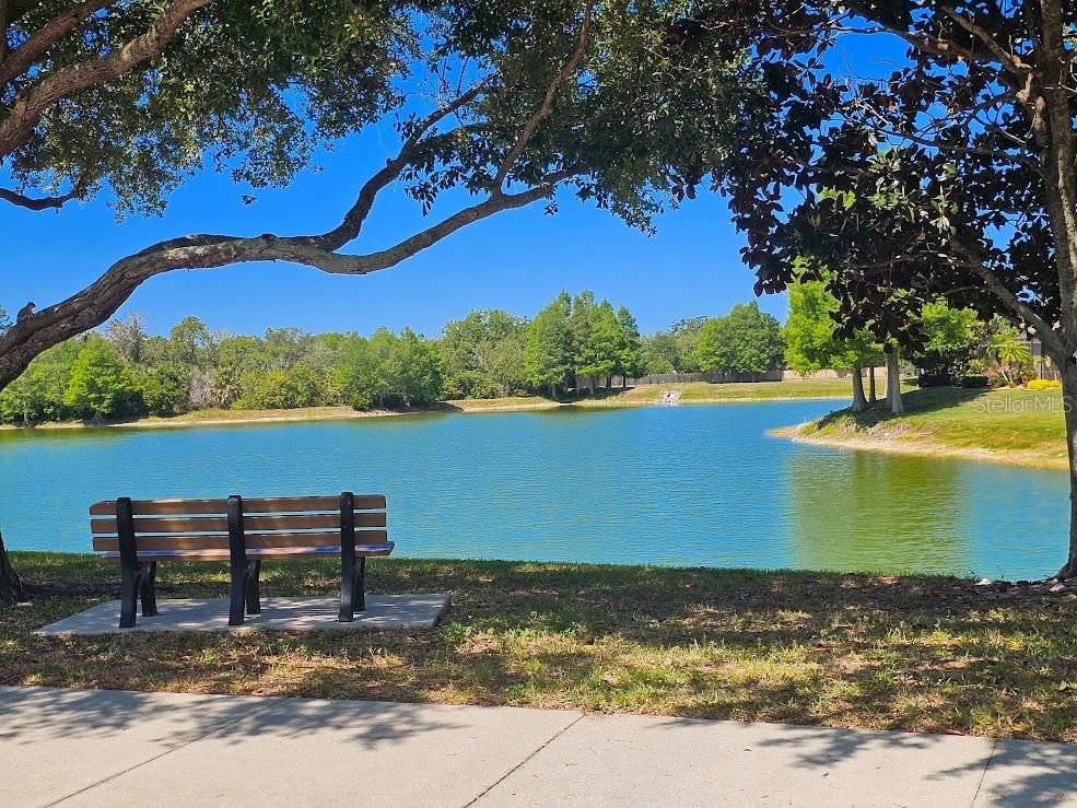 2125 BARRACUDA CT, HOLIDAY, FL, 34691