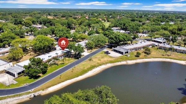 3113 MISSION GROVE DR #3113, PALM HARBOR, FL, 34684