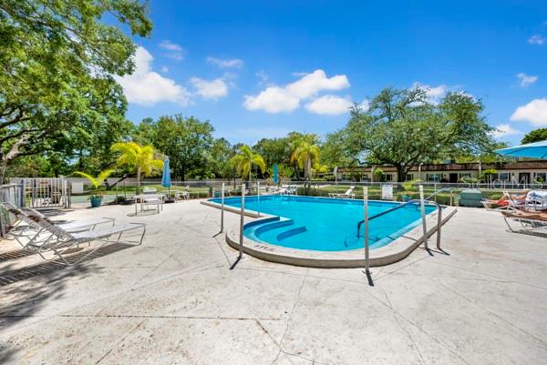 3113 MISSION GROVE DR #3113, PALM HARBOR, FL, 34684