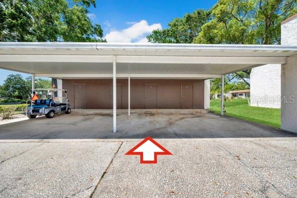 3113 MISSION GROVE DR #3113, PALM HARBOR, FL, 34684