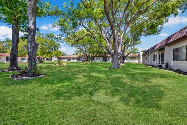 3113 MISSION GROVE DR #3113, PALM HARBOR, FL, 34684