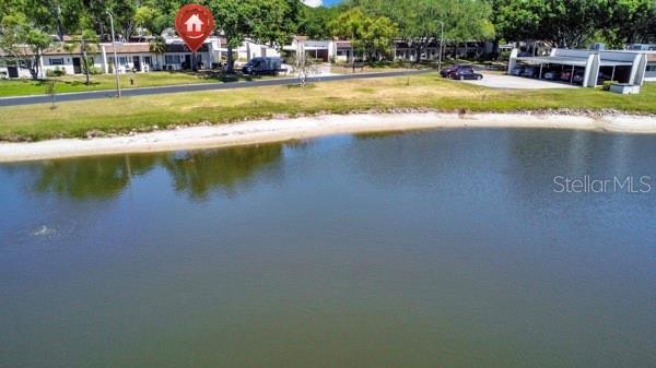 3113 MISSION GROVE DR #3113, PALM HARBOR, FL, 34684