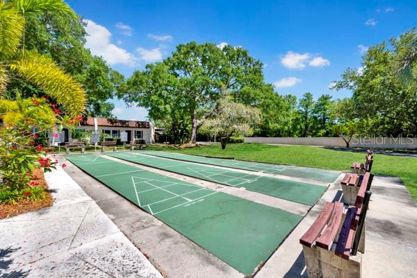 3113 MISSION GROVE DR #3113, PALM HARBOR, FL, 34684