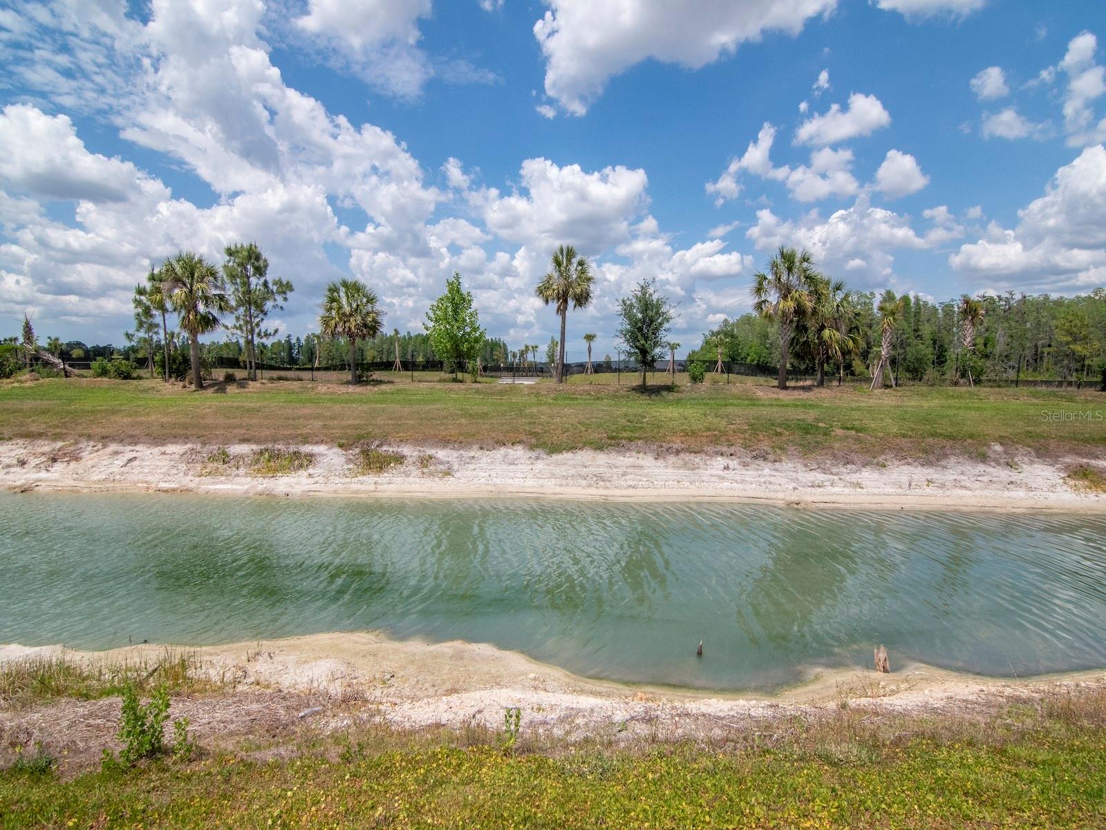 32309 ROSEWOOD MEADOW LN, WESLEY CHAPEL, FL, 33543