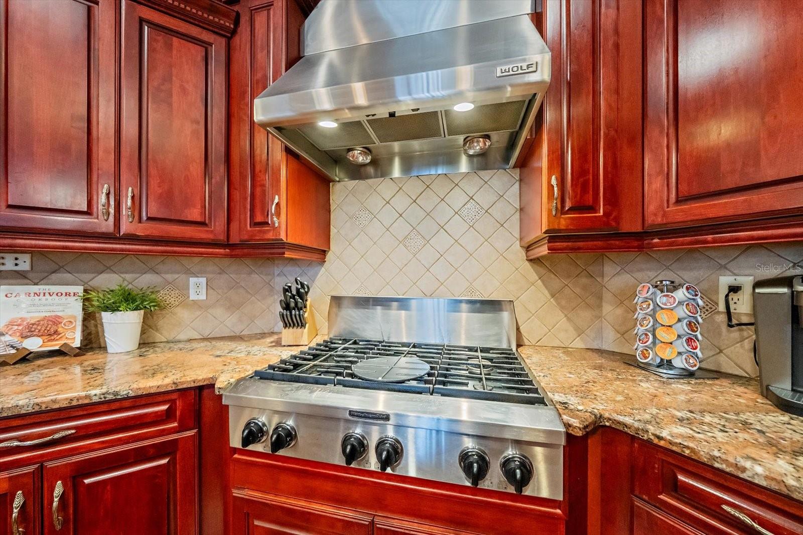 1615 HERITAGE DR, VALRICO, FL, 33594