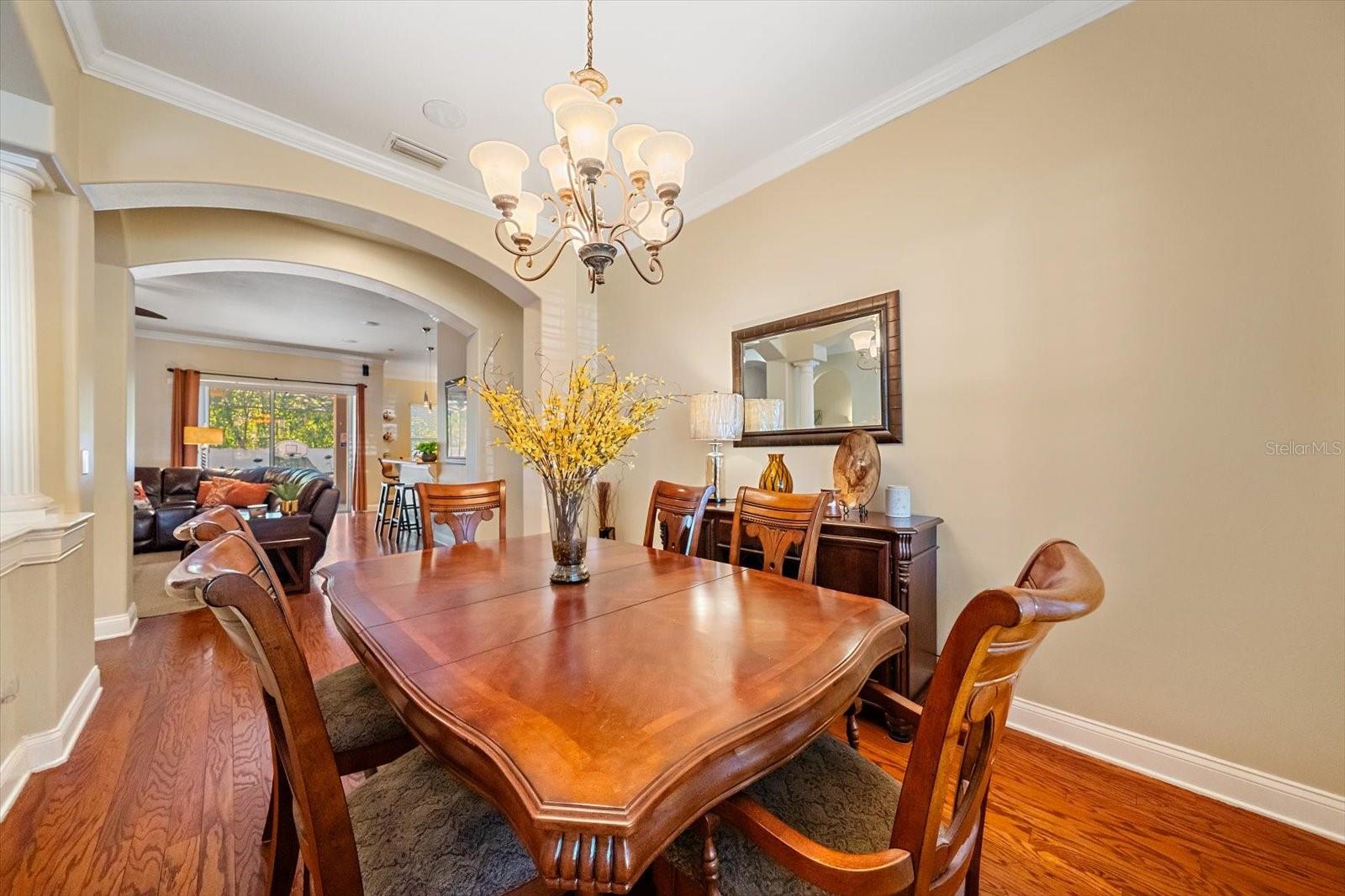 1615 HERITAGE DR, VALRICO, FL, 33594