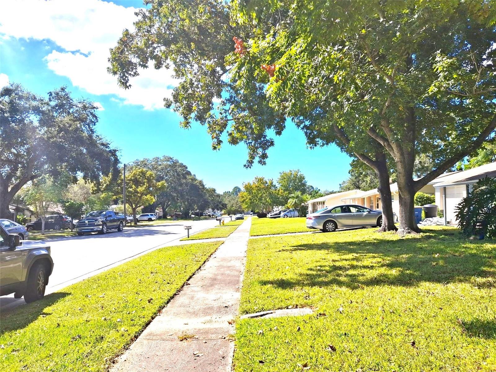 2812 DOVEWOOD ST, CLEARWATER, FL, 33759