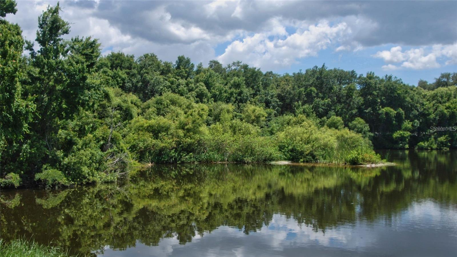 2812 DOVEWOOD ST, CLEARWATER, FL, 33759