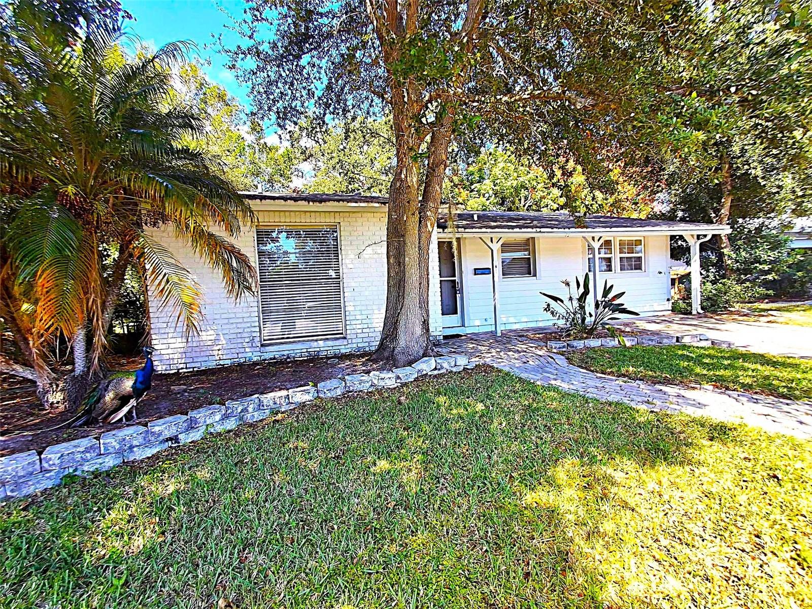 2812 DOVEWOOD ST, CLEARWATER, FL, 33759
