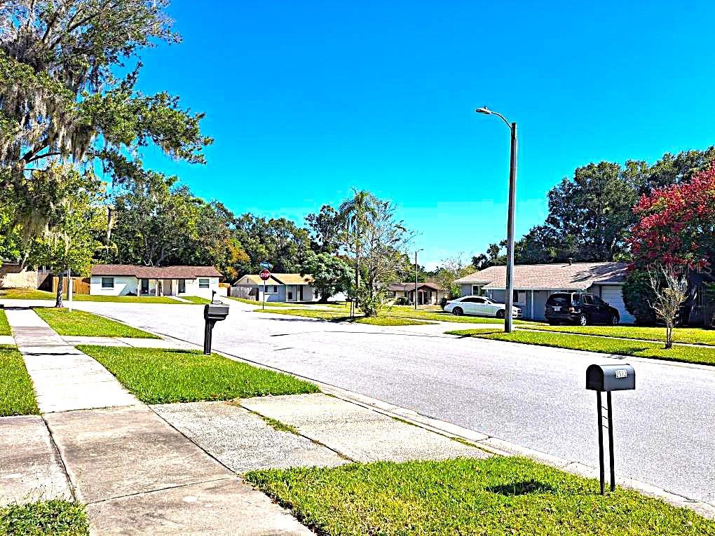 2812 DOVEWOOD ST, CLEARWATER, FL, 33759