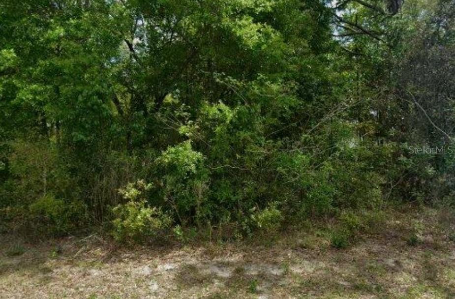 1578 W EVERGREEN DR, CITRUS SPRINGS, FL, 34434