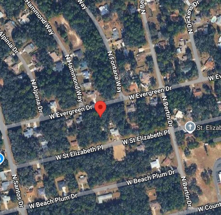 1578 W EVERGREEN DR, CITRUS SPRINGS, FL, 34434