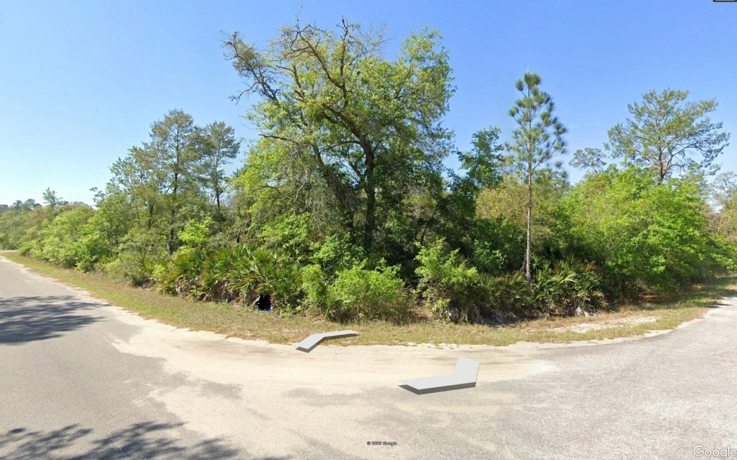 43 SEQUOIA TRL, OCKLAWAHA, FL, 32179