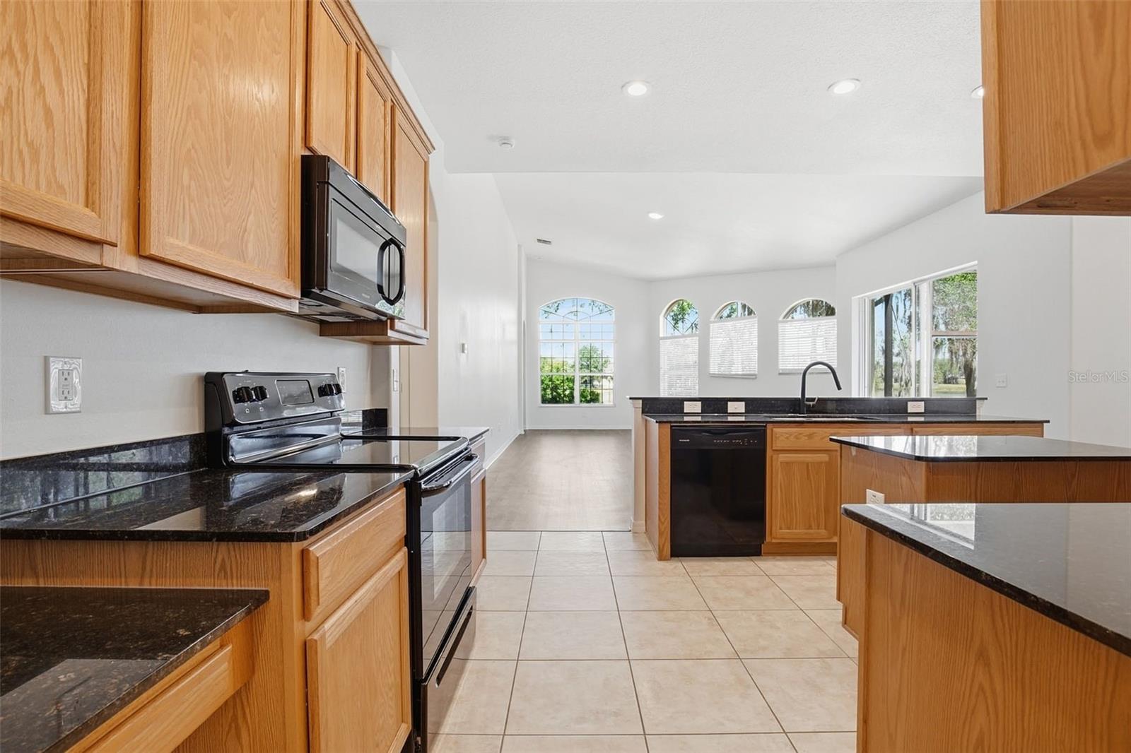 4745 PATAGONIA PL, LAND O LAKES, FL, 34638