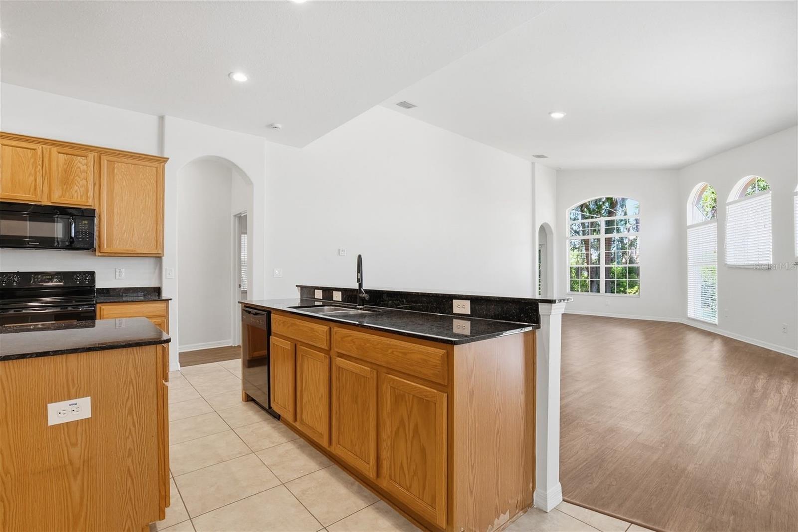 4745 PATAGONIA PL, LAND O LAKES, FL, 34638